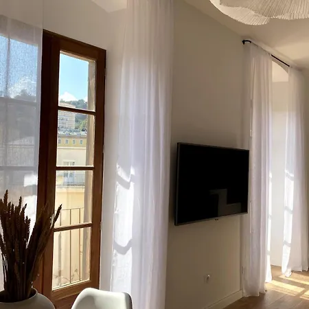 Plein Centre Entierement Renove * Bastia (Corsica)